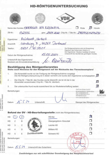 HD Untersuchung