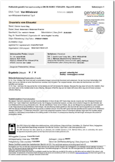 Untersuchung auf von Willebrand- Erkrankung